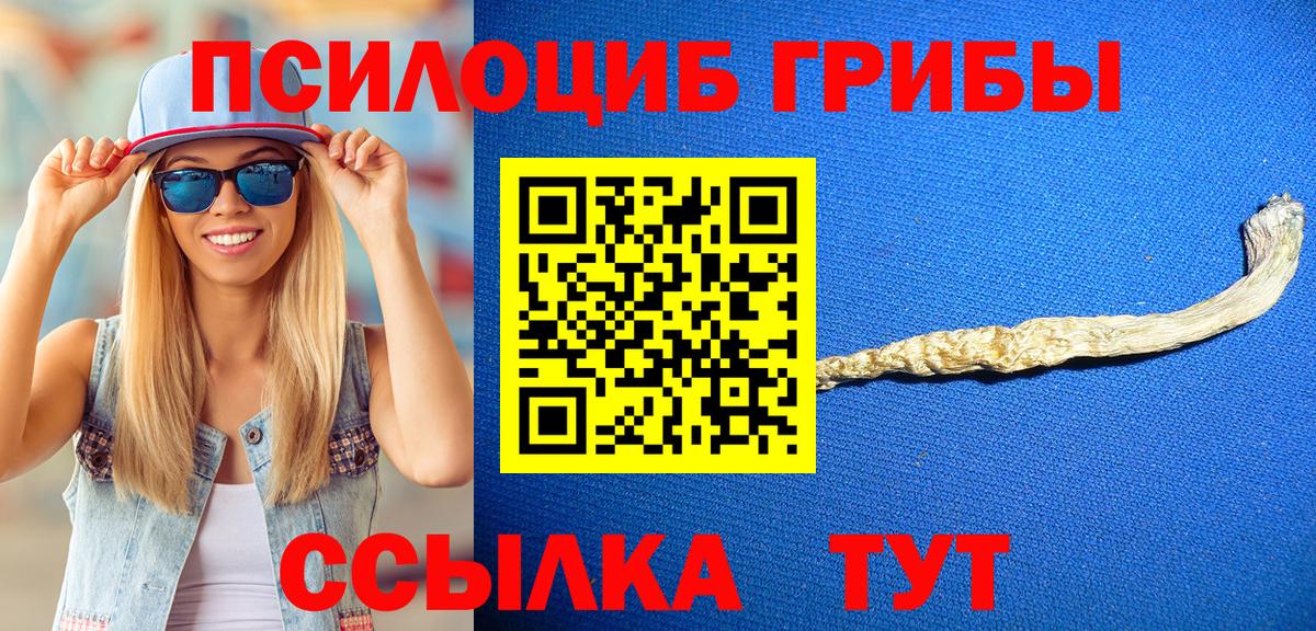 Псилоцибиновые грибы прущие грибы Советск