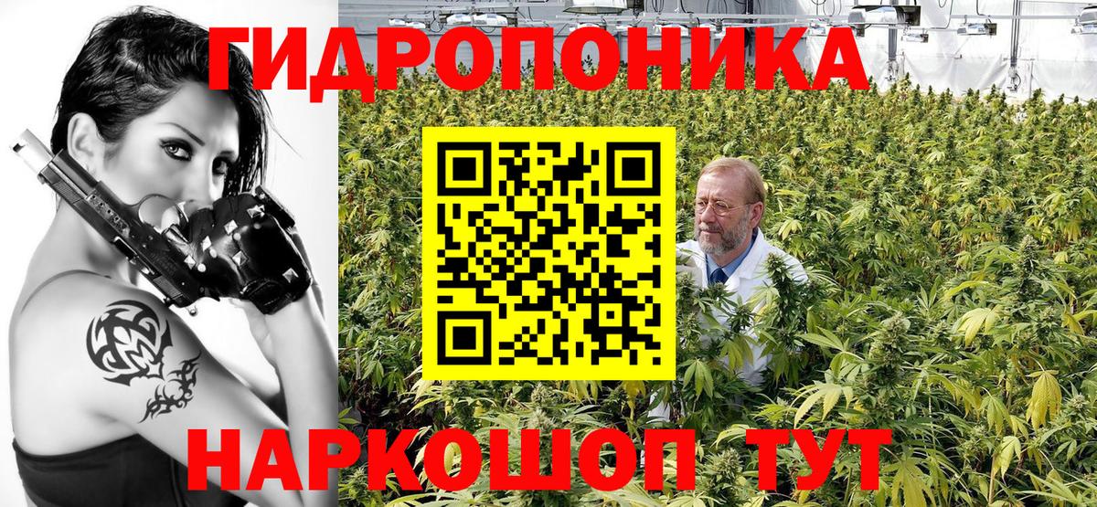 Советск  Каннабис SATIVA & INDICA  Вход с VPN  Каннабис VHQ  МАРИХУАНА планчик 